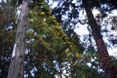 DSC04086