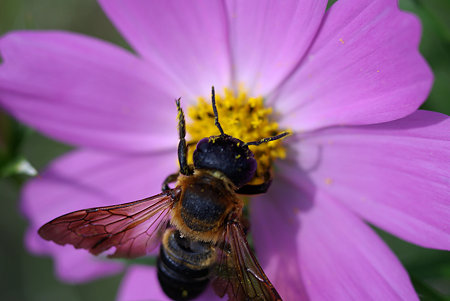 IMGP9742