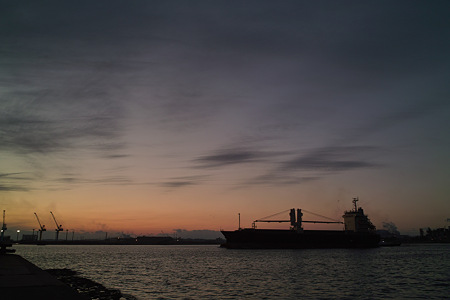 SDIM0787