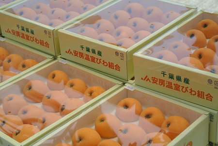 売り場のびわ