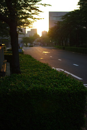 IMGP7013