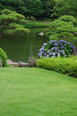 IMGP8819