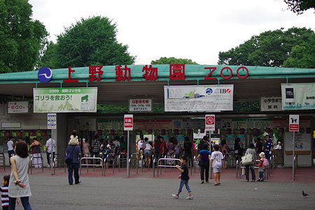 IMGP8849