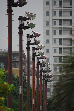 IMGP0244