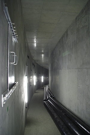 IMGP2445