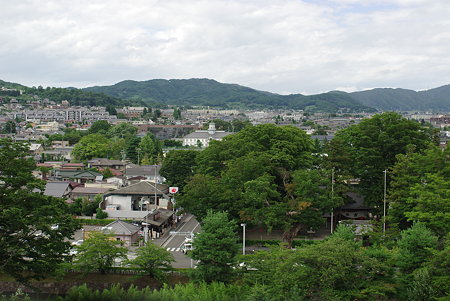 IMGP3252