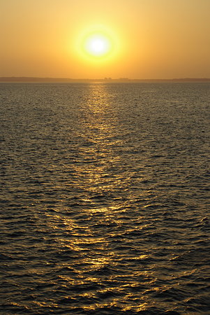 IMGP6632