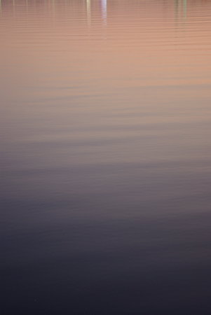 IMGP7610