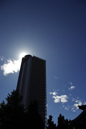 IMGP7661