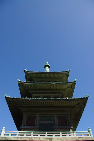 IMGP7677