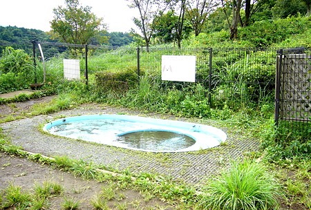 P1050331