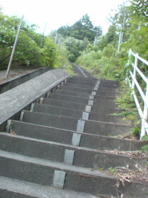 道は続くよ