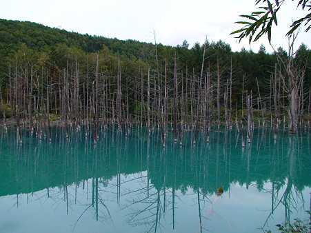 DSC00078