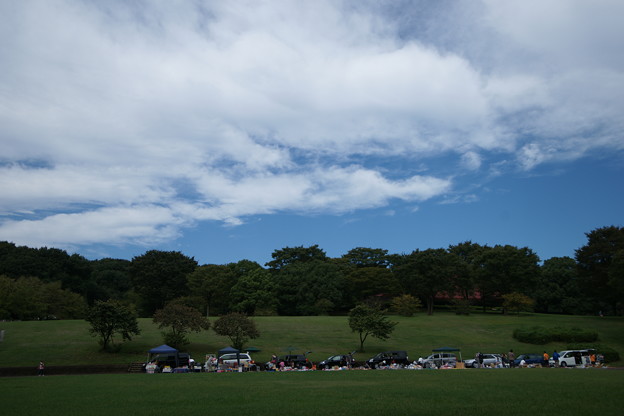 秋の空 フリーマーケット 写真共有サイト フォト蔵