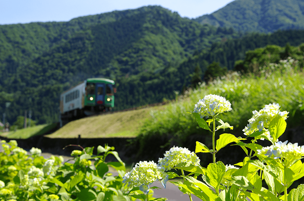 シーズンオフの樽見鉄道(6)
