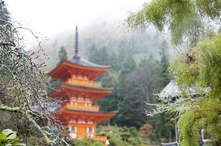 氷雨降る美作長福寺三重塔