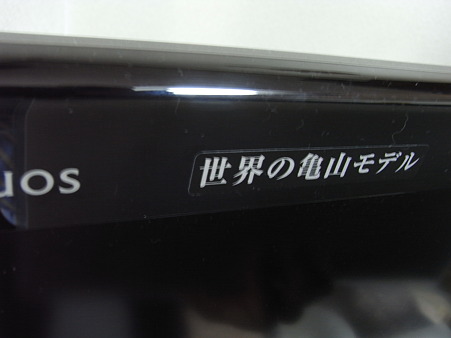 世界の亀山モデル