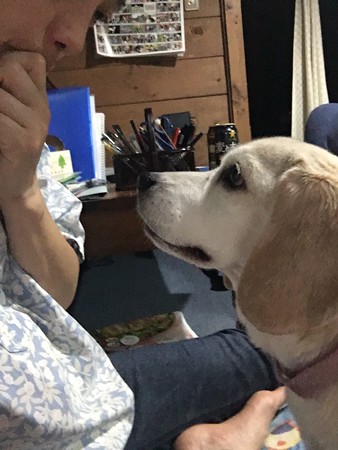 母娘会話