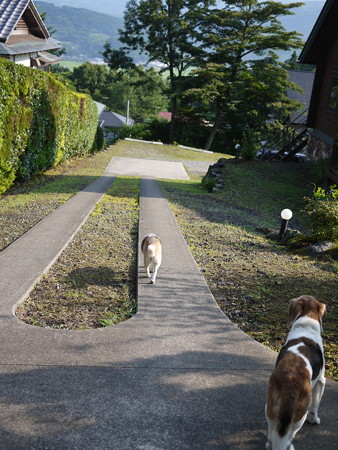さあ、おかーちゃまの写真にも付き合ってられないから、とっとと帰りまちょ、マリンちゃま