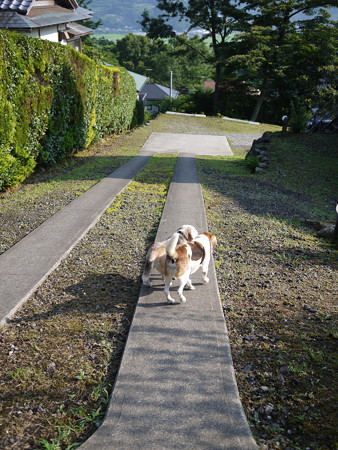 待ってくれよーー!!(汗)