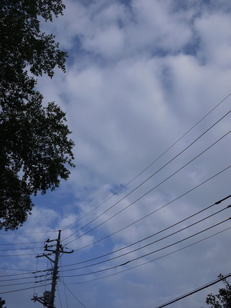 電線も角度によっては被写体になる