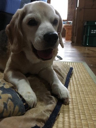 笑顔も最高!