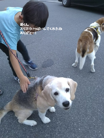 弟ちゃまって、あたちより小さくなかったでちゅか?ずいぶん大きくなりまちたね。