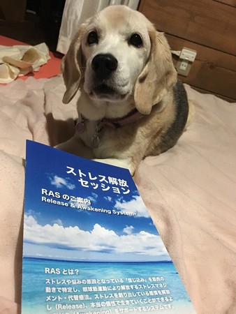 RASセッション(2回目)行ってきましたよ!