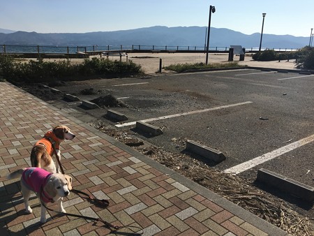 午後は海の公園に来たよ~