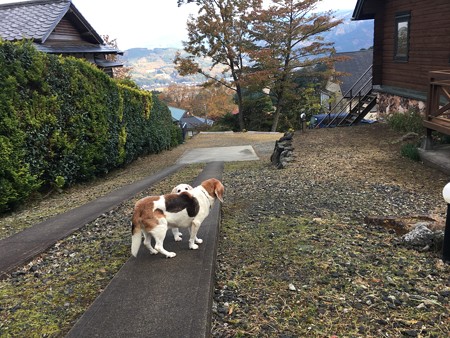 うみちゃんを探せ!その2(可愛い隠れ方だよね)