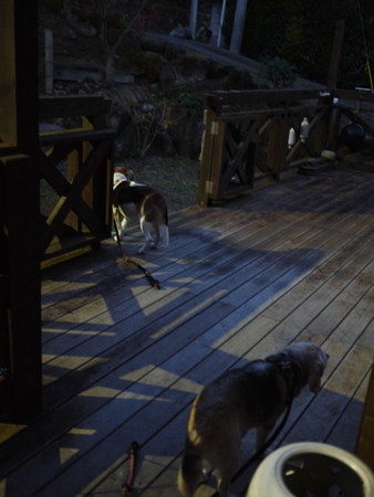 朝6時でようやくしらじらと明るくなってきた