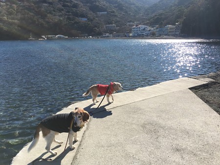 元気でワイワイ楽しい一年でいましょう