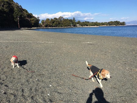 砂浜歩いて足腰鍛えよう!