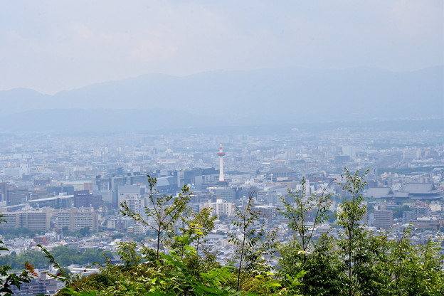 タグ 東山山頂公園の写真 写真共有サイト フォト蔵