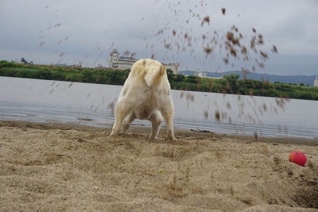 砂をかけるな