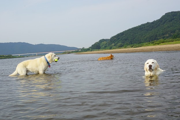 川遊び