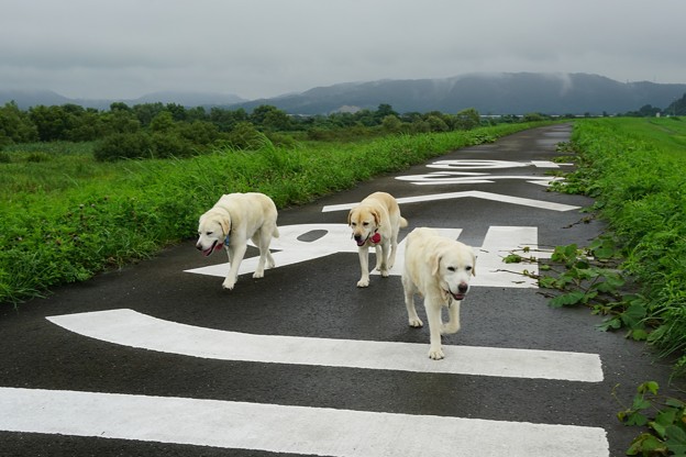 雨上がり