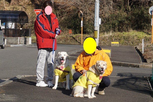 春日和