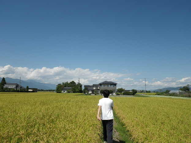 O田家周辺