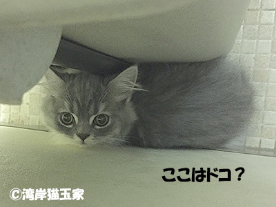 17040505