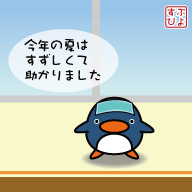 今年の夏は涼しくて助かりました