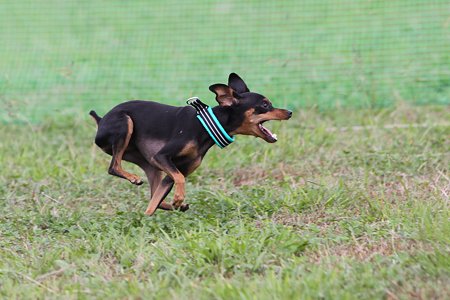 IMG_6929