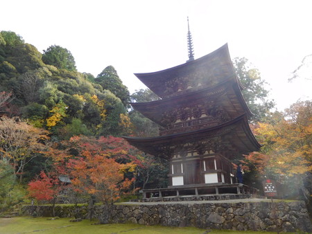 湖東三山2017 005