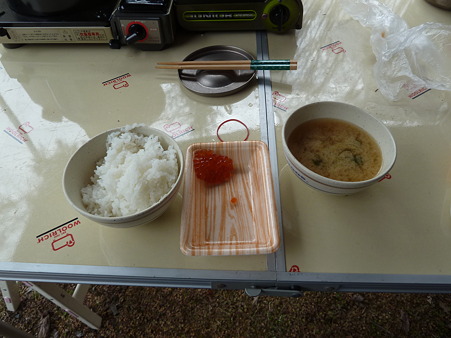 2011甲信 049