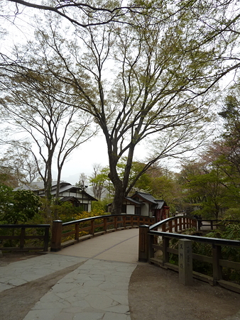 2011甲信 097