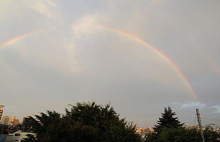 虹が出た
