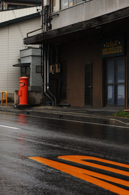 Photos: 濡れた路面に映える色