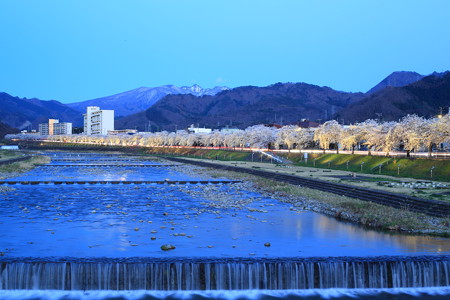 馬見ヶ崎さくらライン５