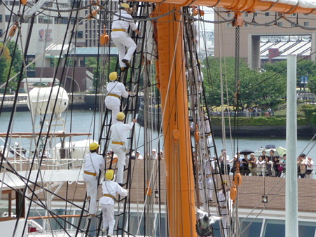 090720-日本丸 総帆展帆 (23)