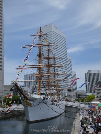 170503-日本丸 (3)